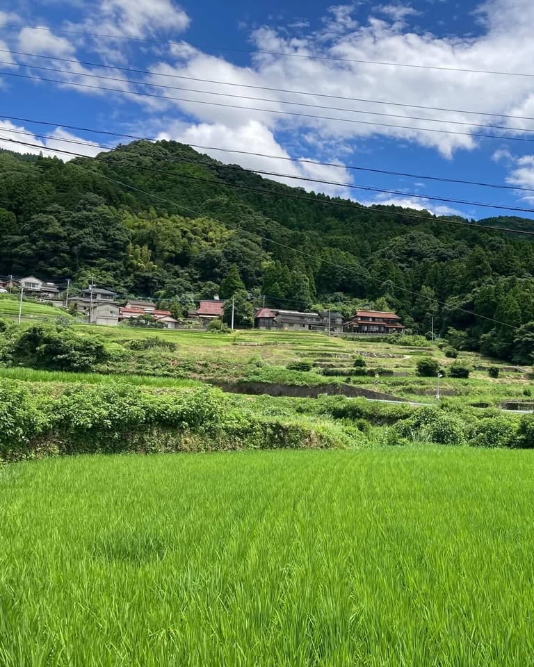 景色