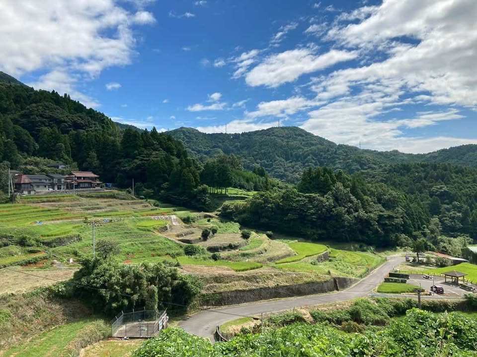 自然の風景